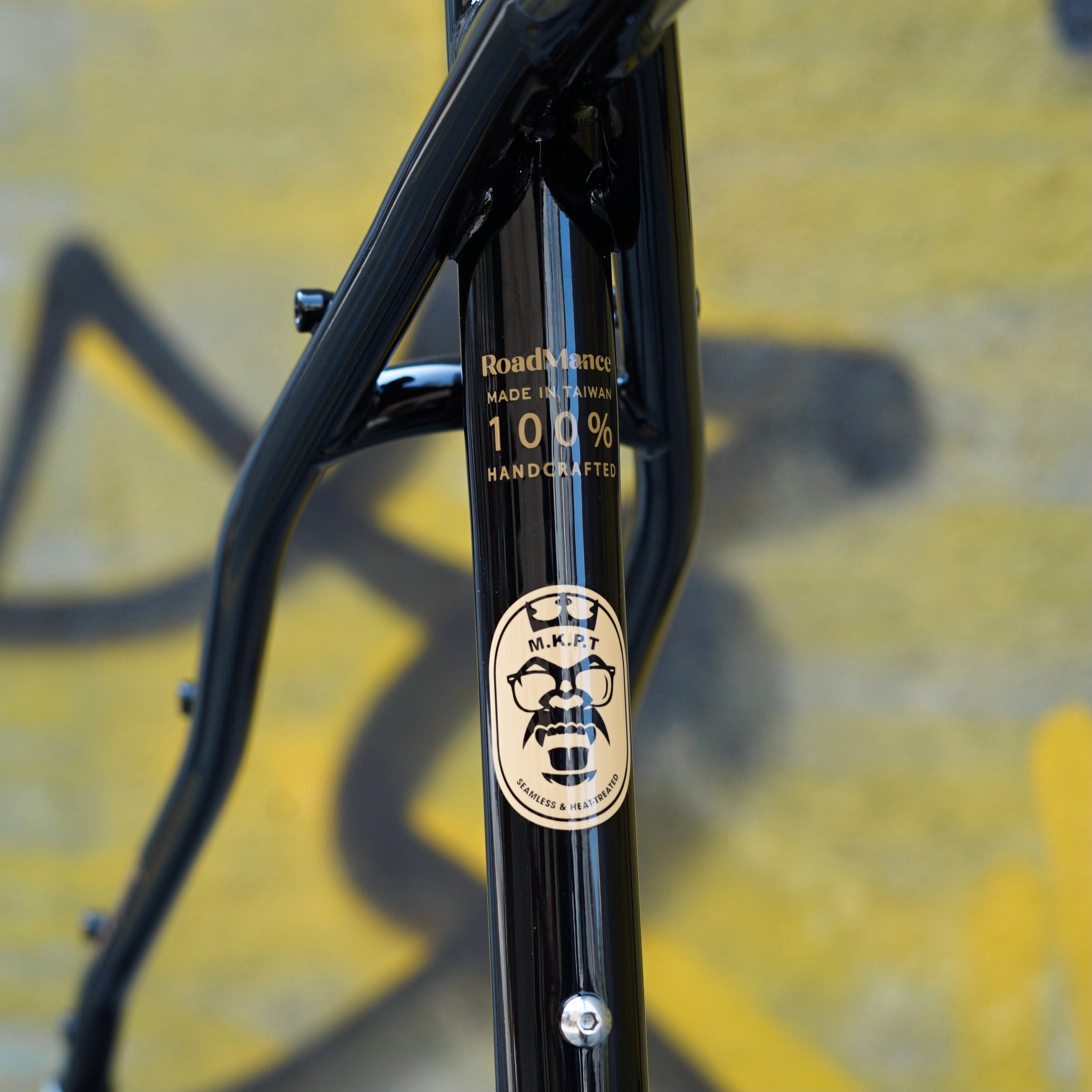 VELOCI Roadmance Chromoly Steel Frame Set with Steel Fork, gravel bikepacking monstercross, view 5