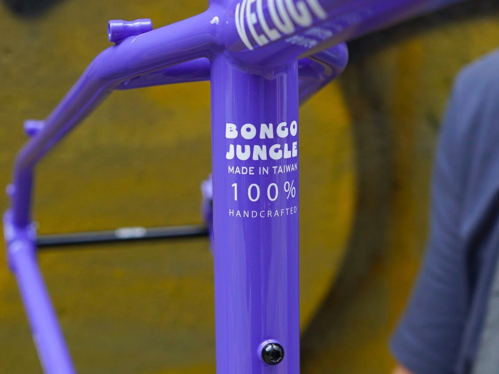 VELOCI Bongo Jungle Steel Hardtail MTB Frame, view 3